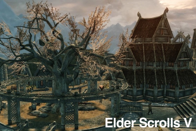 Игра The Elder Scrolls V: Skyrim Special Edition 2