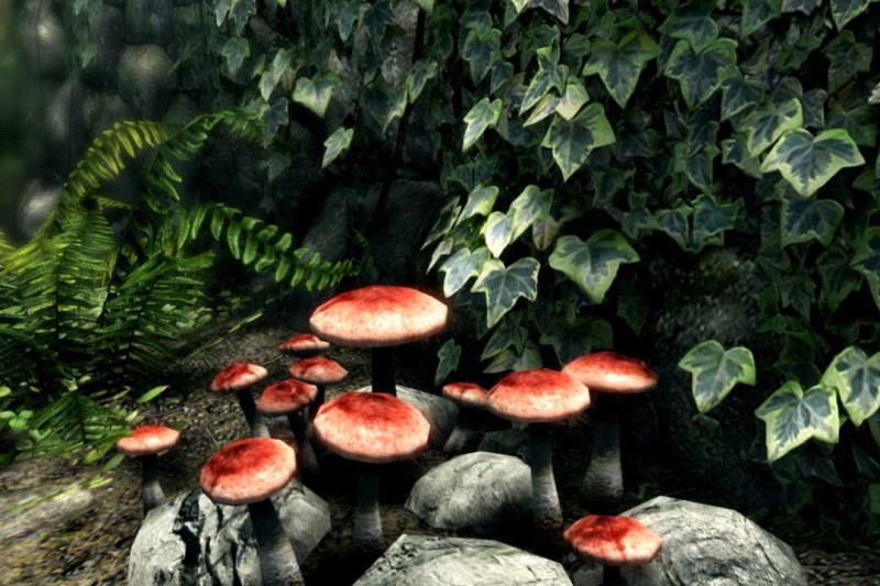 The Elder Scrolls V: Skyrim Special Edition 1