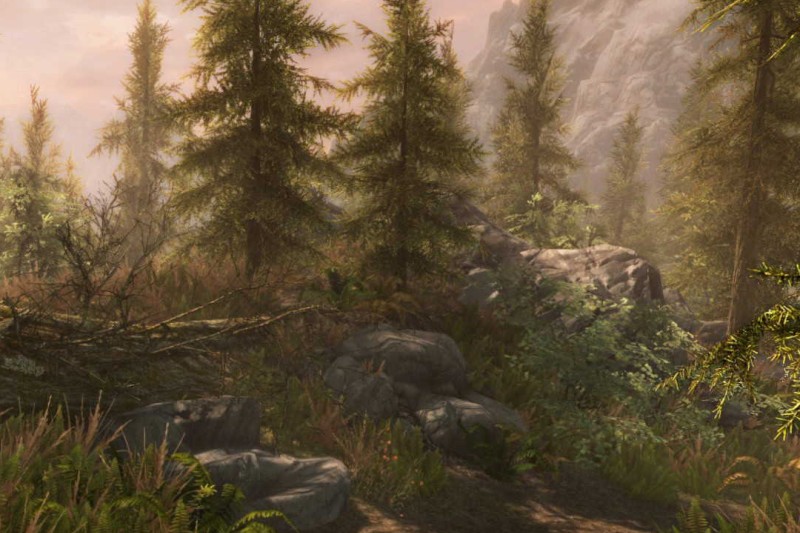 The Elder Scrolls V: Skyrim Special Edition 0