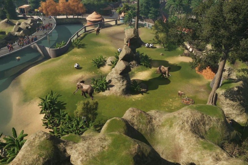 Planet Zoo Deluxe Edition 3