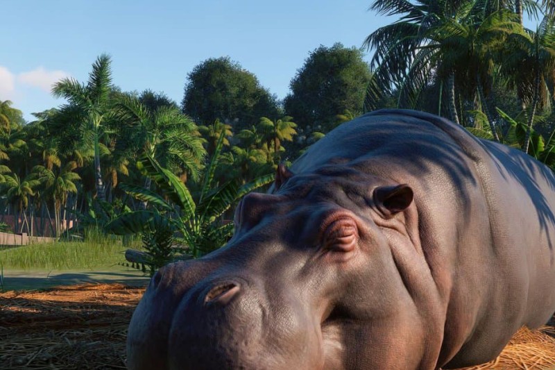 Planet Zoo Deluxe Edition 2