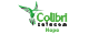 Логотип Колибри Телеком Нара